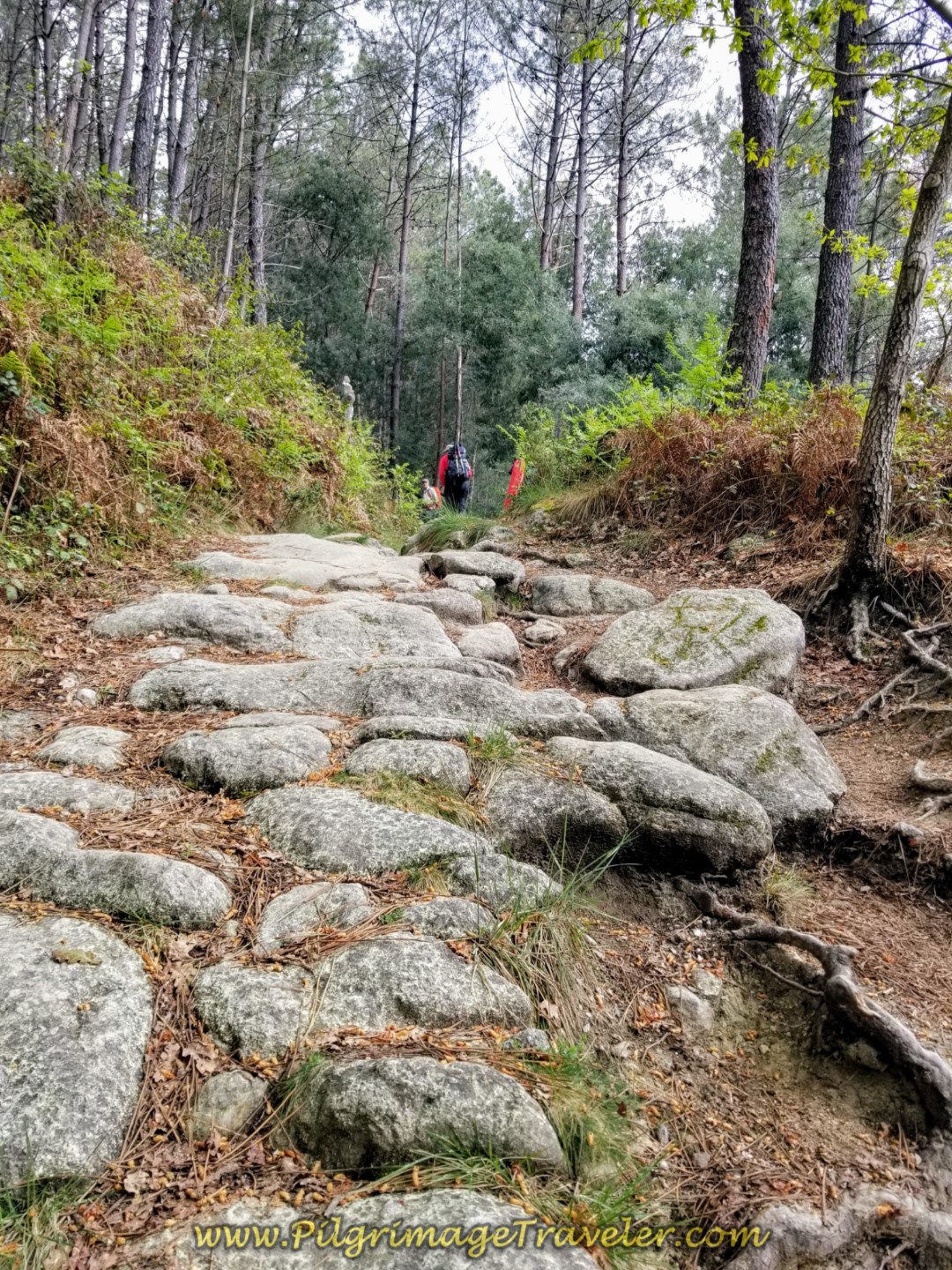 The Very Steep Section of the Roman Road on day eighteen on the Central Route of the Portuguese Camino
