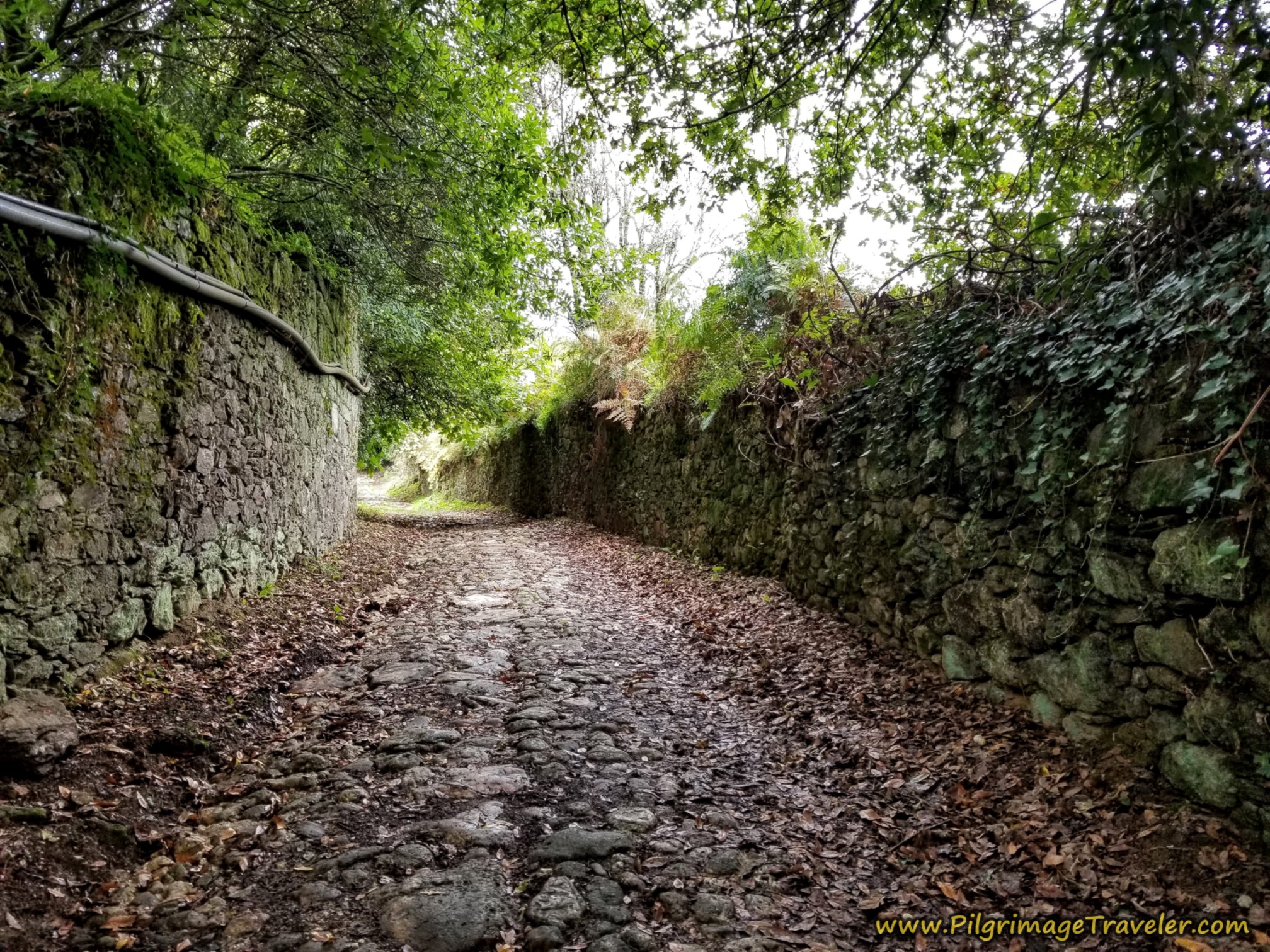 Along the Aldea Monreal