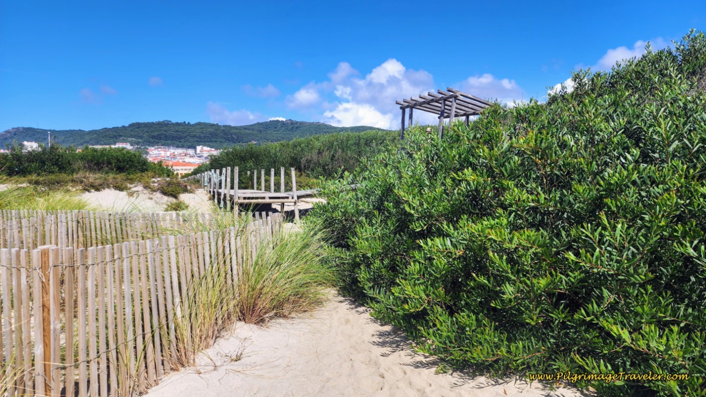 Across the Dune is the Next Boardwalk System