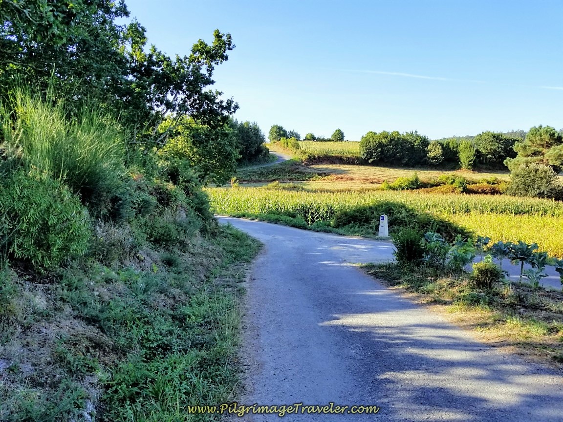 Country Road Passing North of Ozón