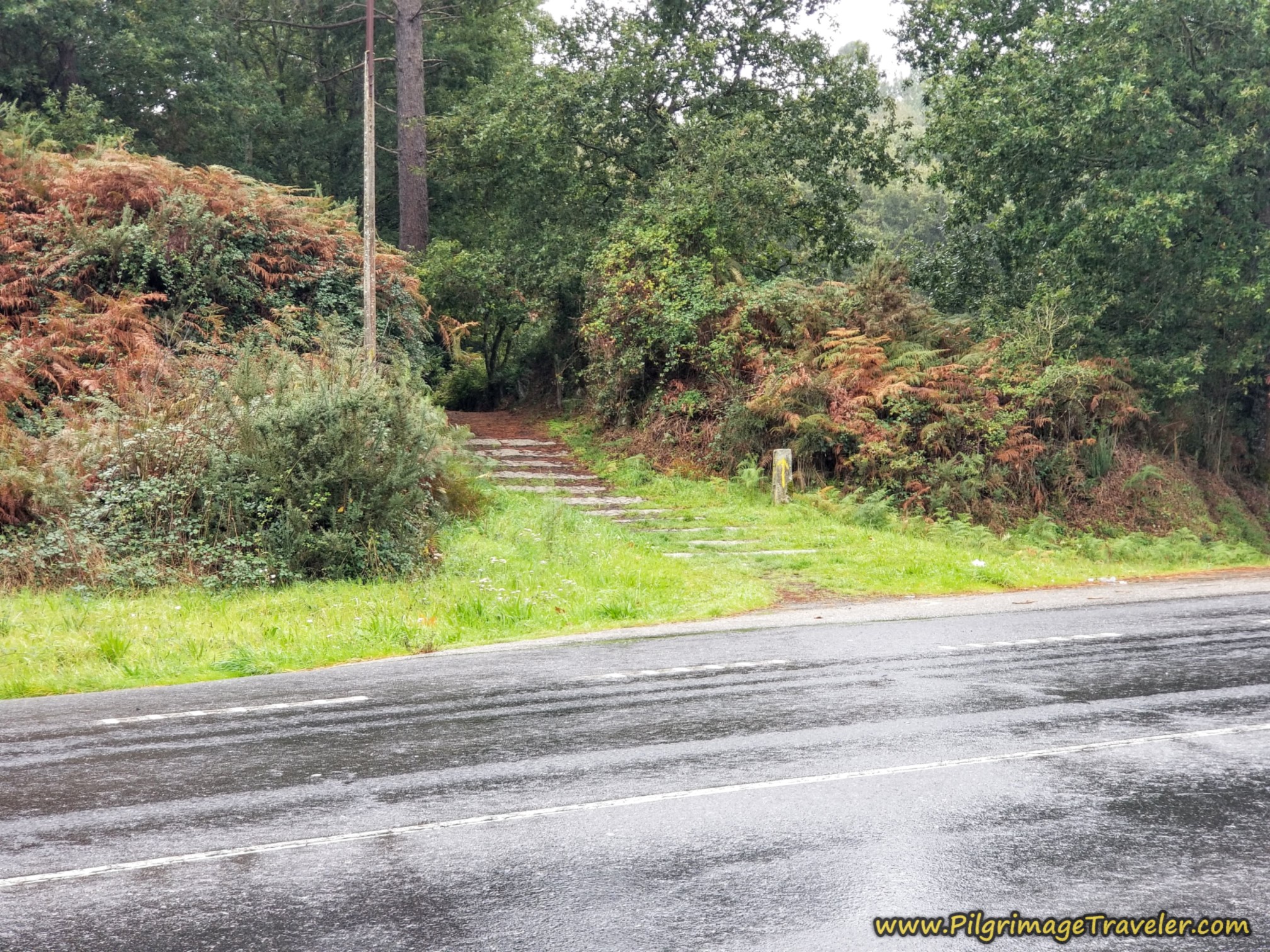 Carefully Cross the N-525 Into the Woods Carefully Cross the N-525 Into the Woods