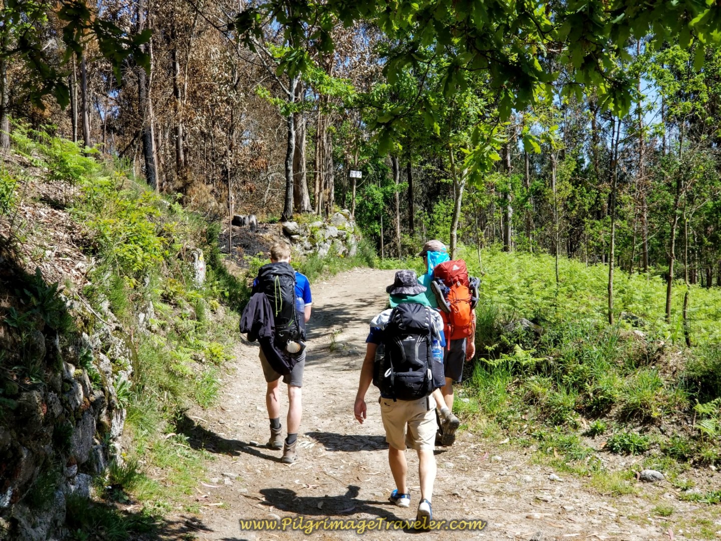 Short Shady Reprieve