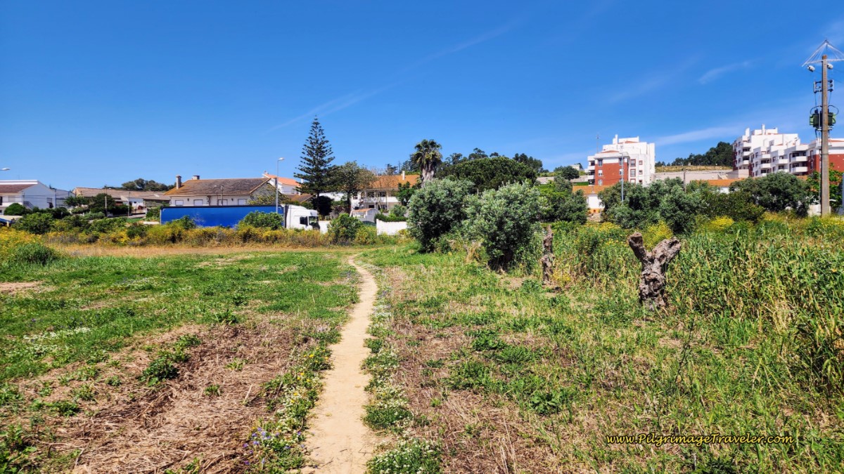 The Path Leads into Azambuja