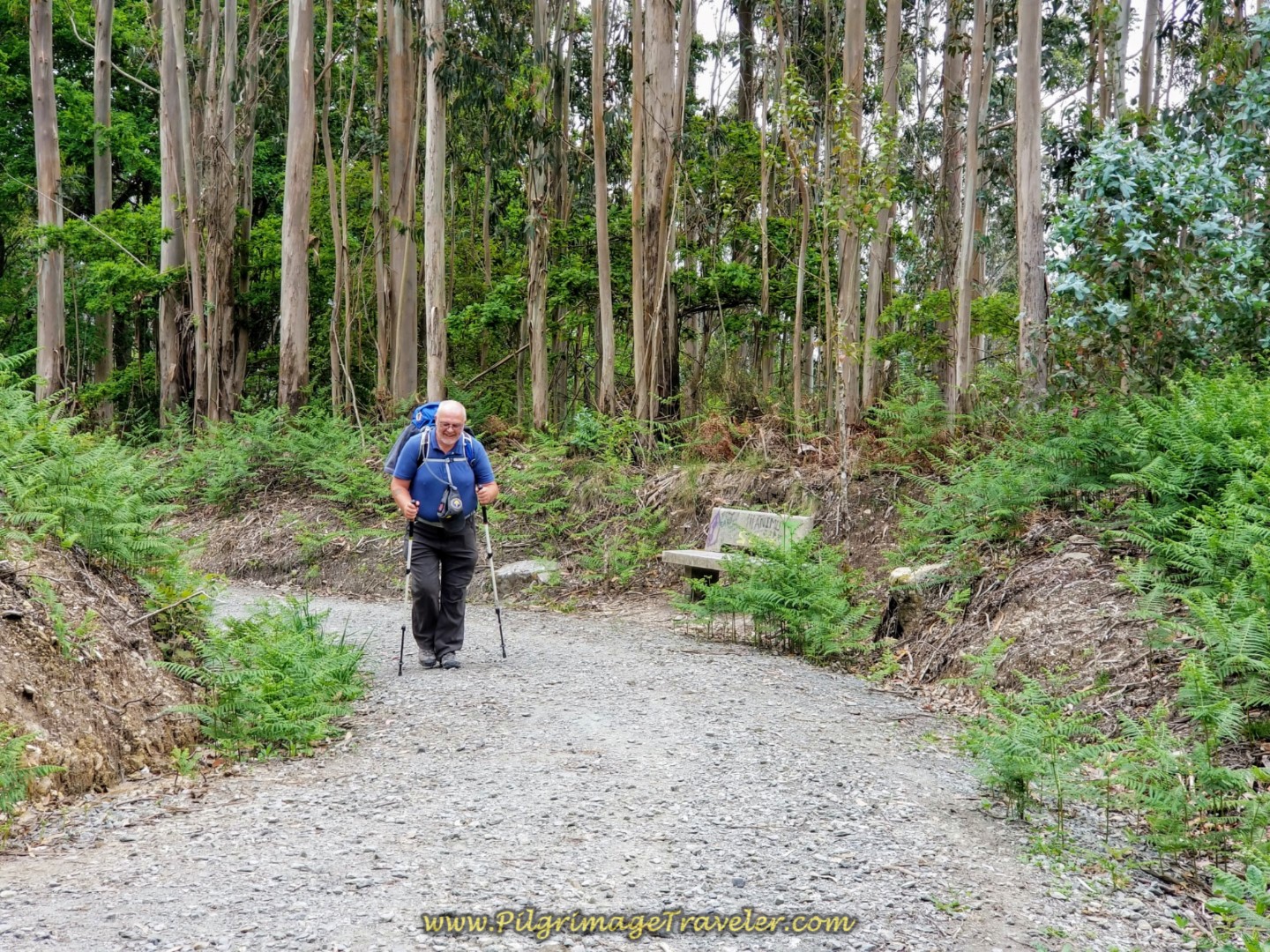 Rest Area Along the Trail on day one Camino Finisterre