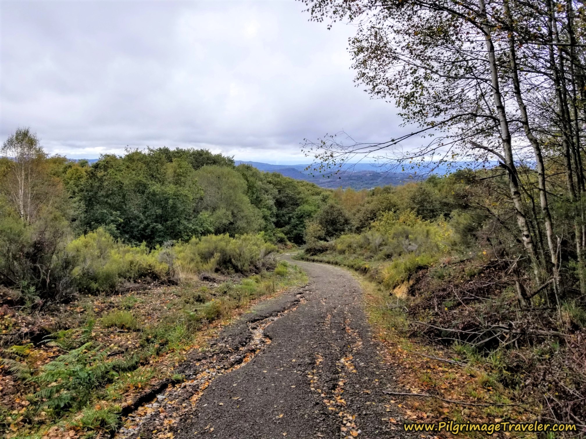 The Road Descends, Camino Sanabrés,  A Laza to Vilar de Barrio