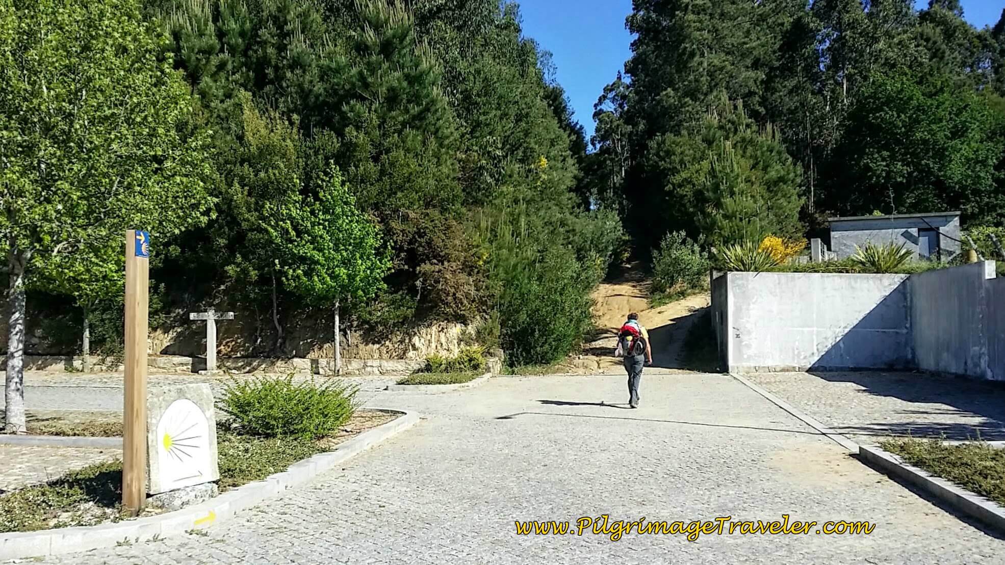 Right Turn Here on Dirt Road on day Seventeen of the Camino Portugués