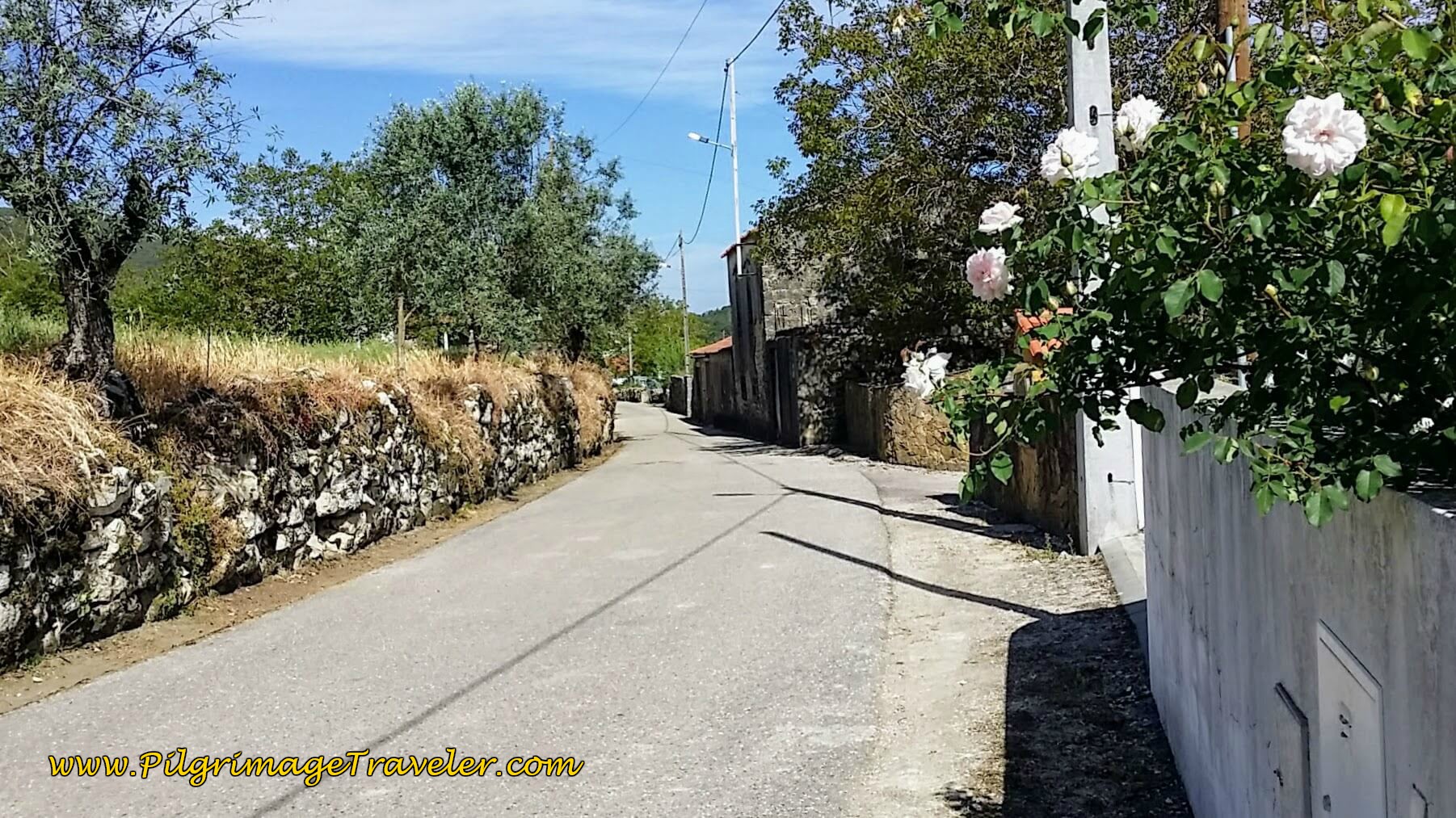 Farther Along the Rua Principal towards Fonte Coberta