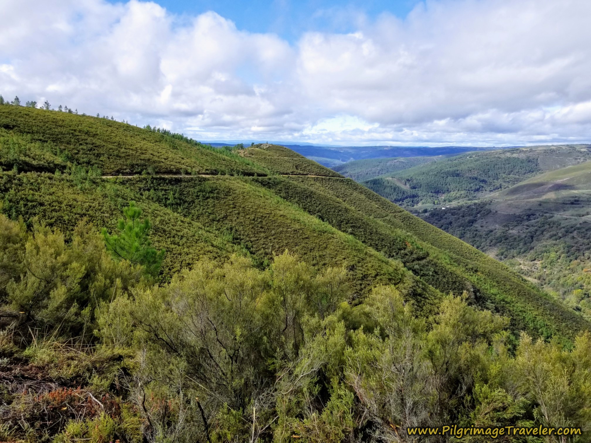 The Way in the Distance