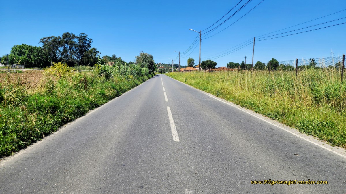 Bicycle Route Along the N110