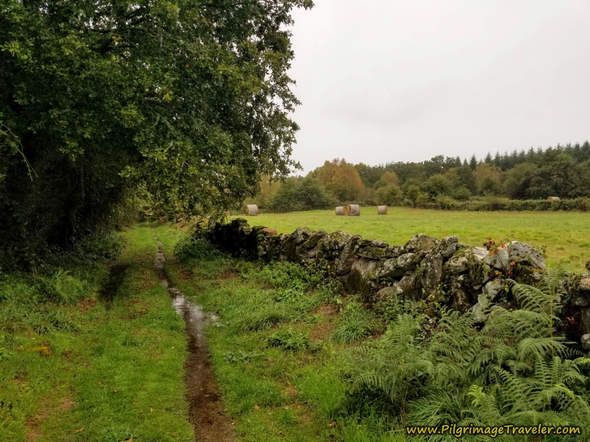 Back Into the Countryside