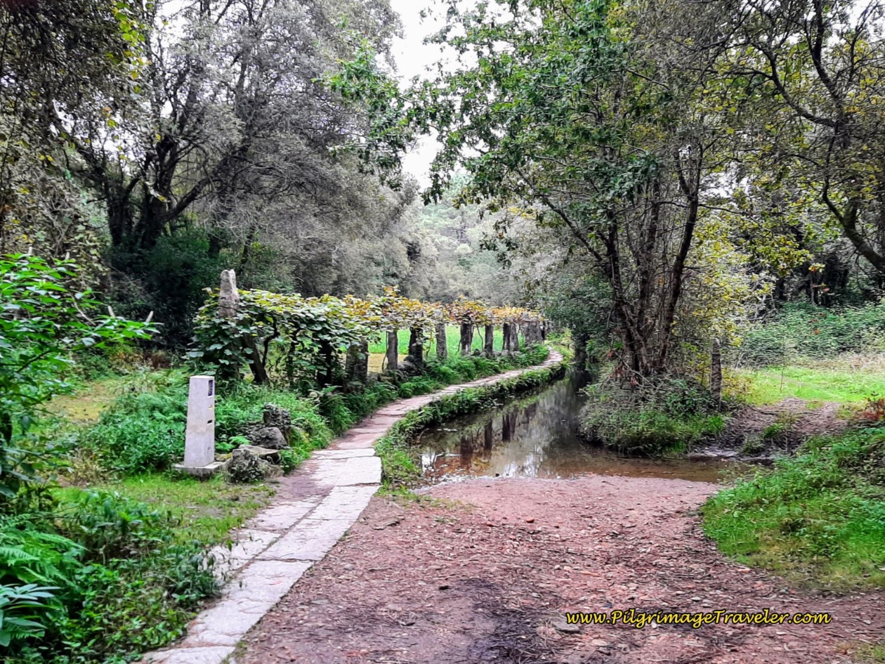 Path that Follows a Canal