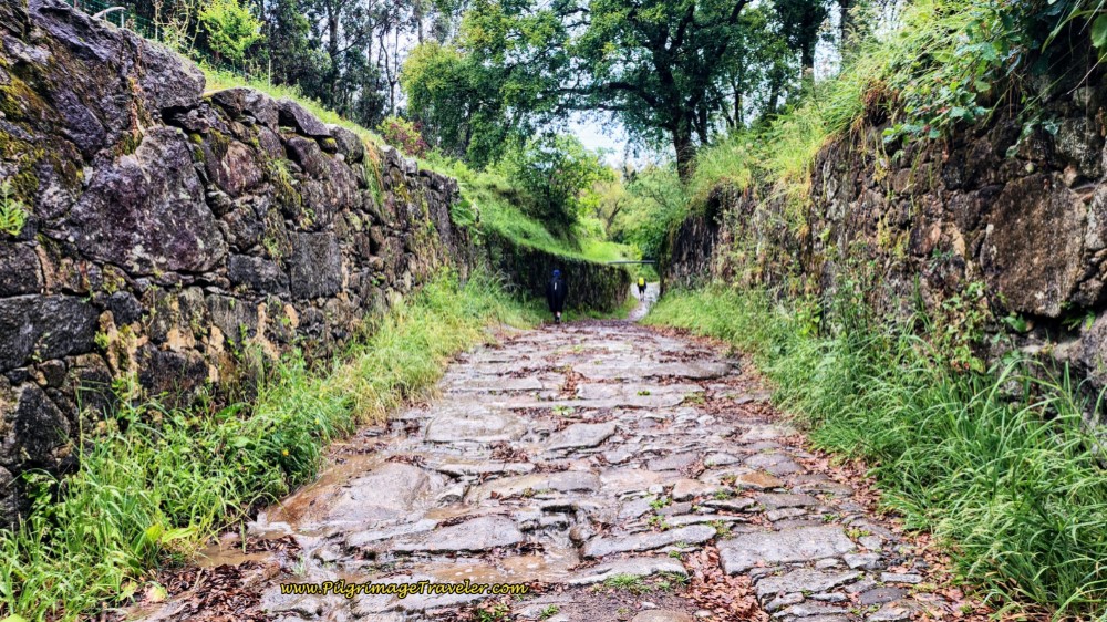 Ancient Roman Road