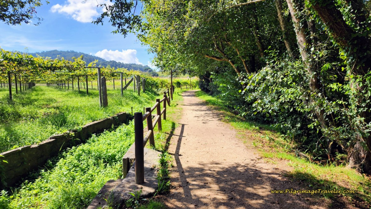 Continued Ruta da Pedra e da Auga Along the River