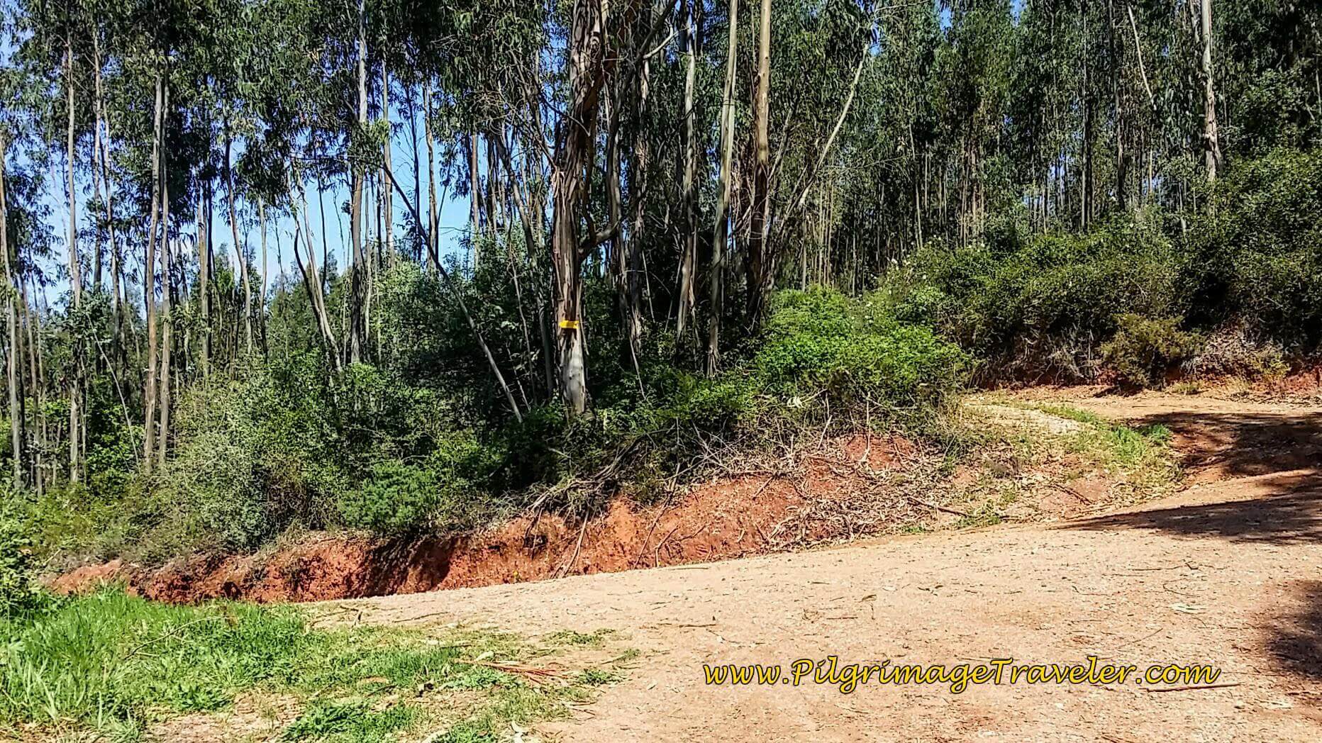 Intersection at the Top ~ 
"Alto" in Portuguese