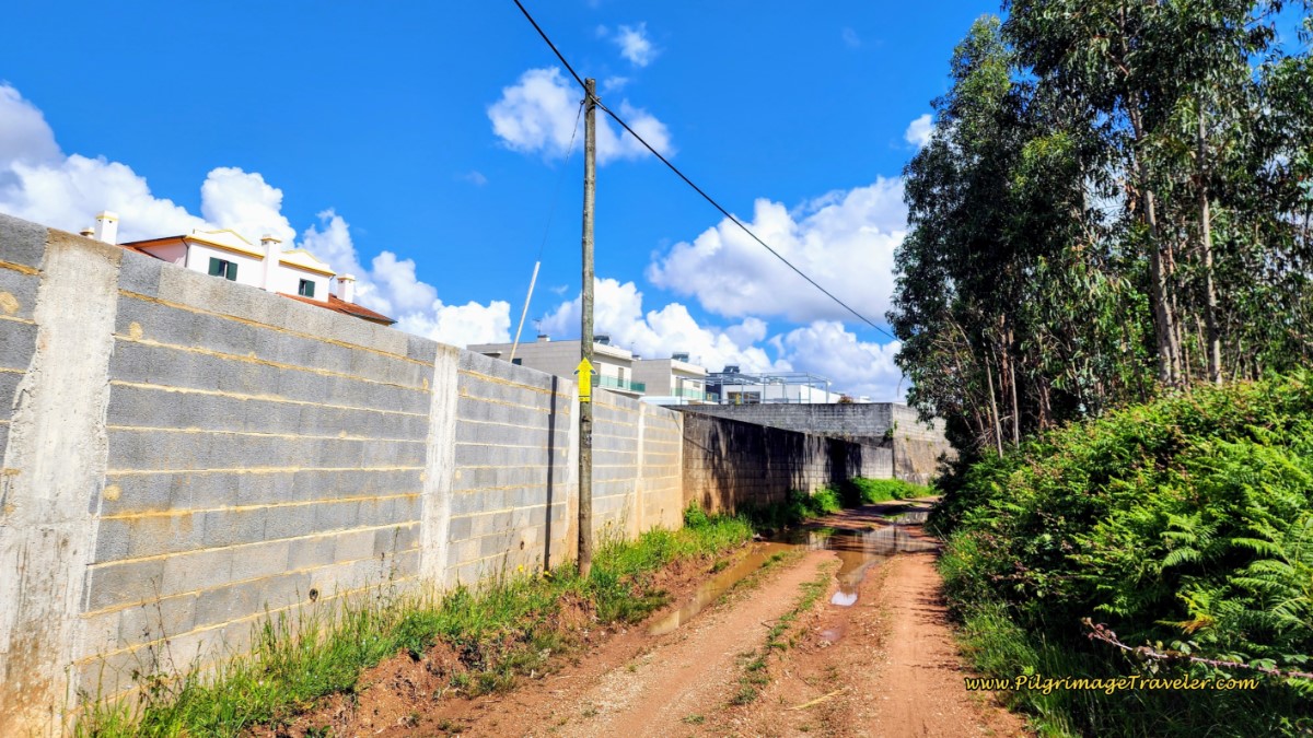 Parallel the Rua Sra. do Socorro and Walk By Forest