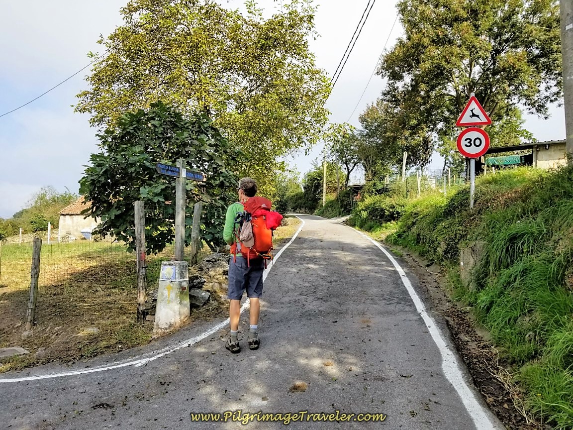 Bend Right Here in Pico de Lanza
