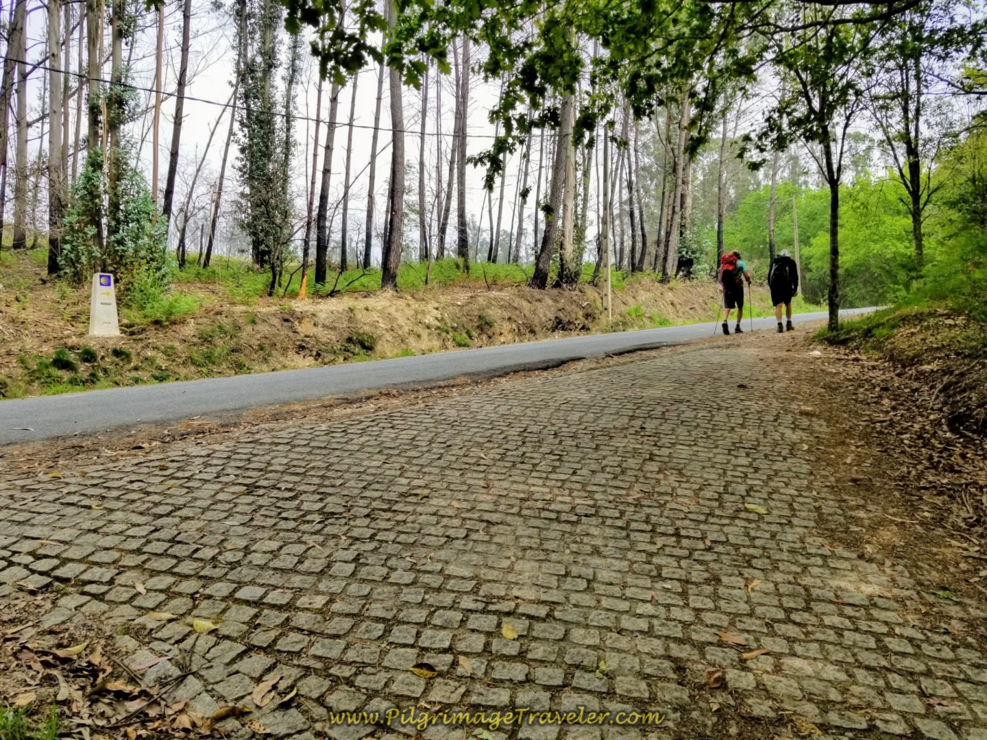 Trail Joins Secondary Road towards Carballo on day one of the Camino Finisterre