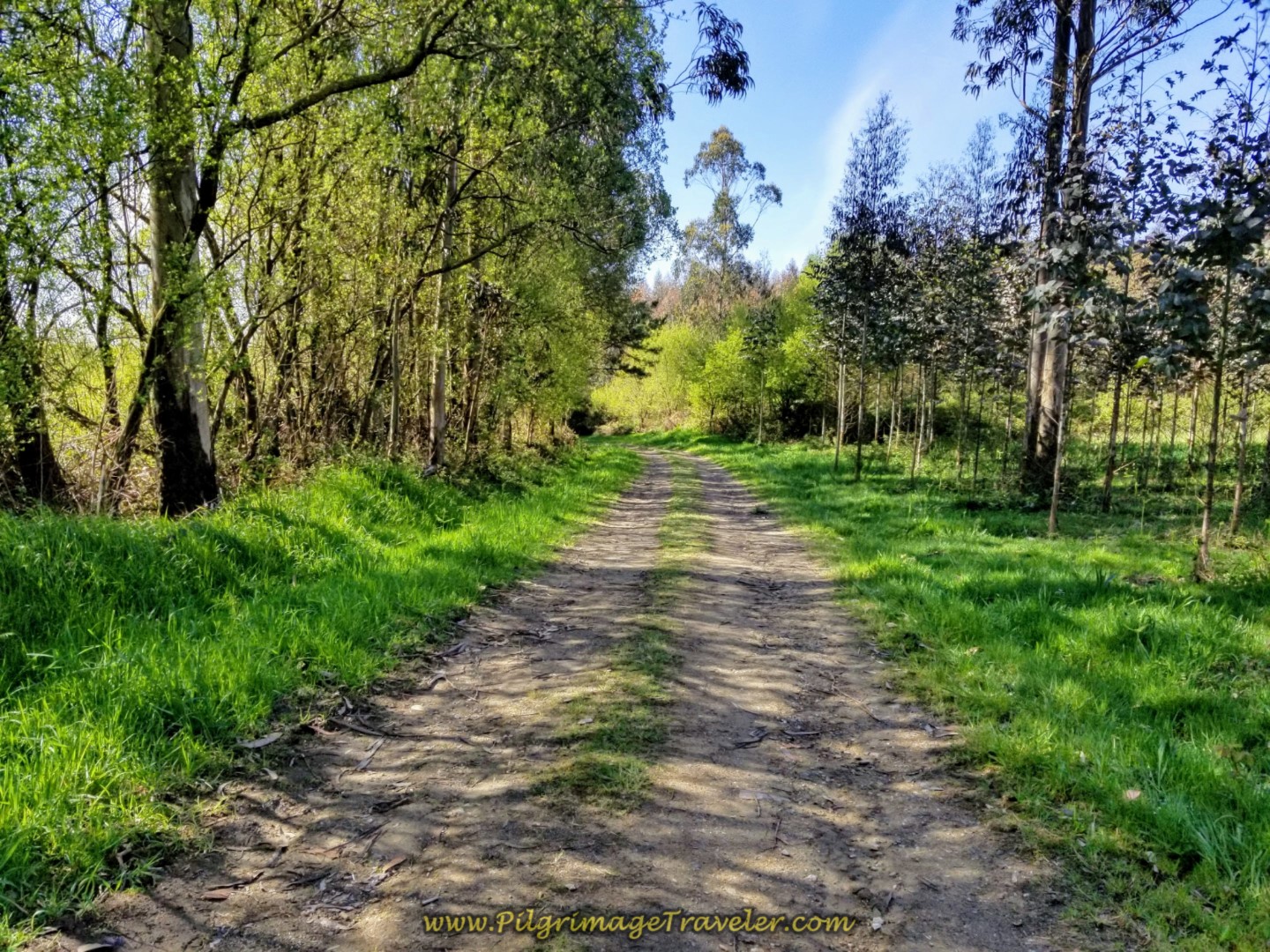 Left Turn Onto This Country Lane on day two of the La Coruña Arm of the English Way