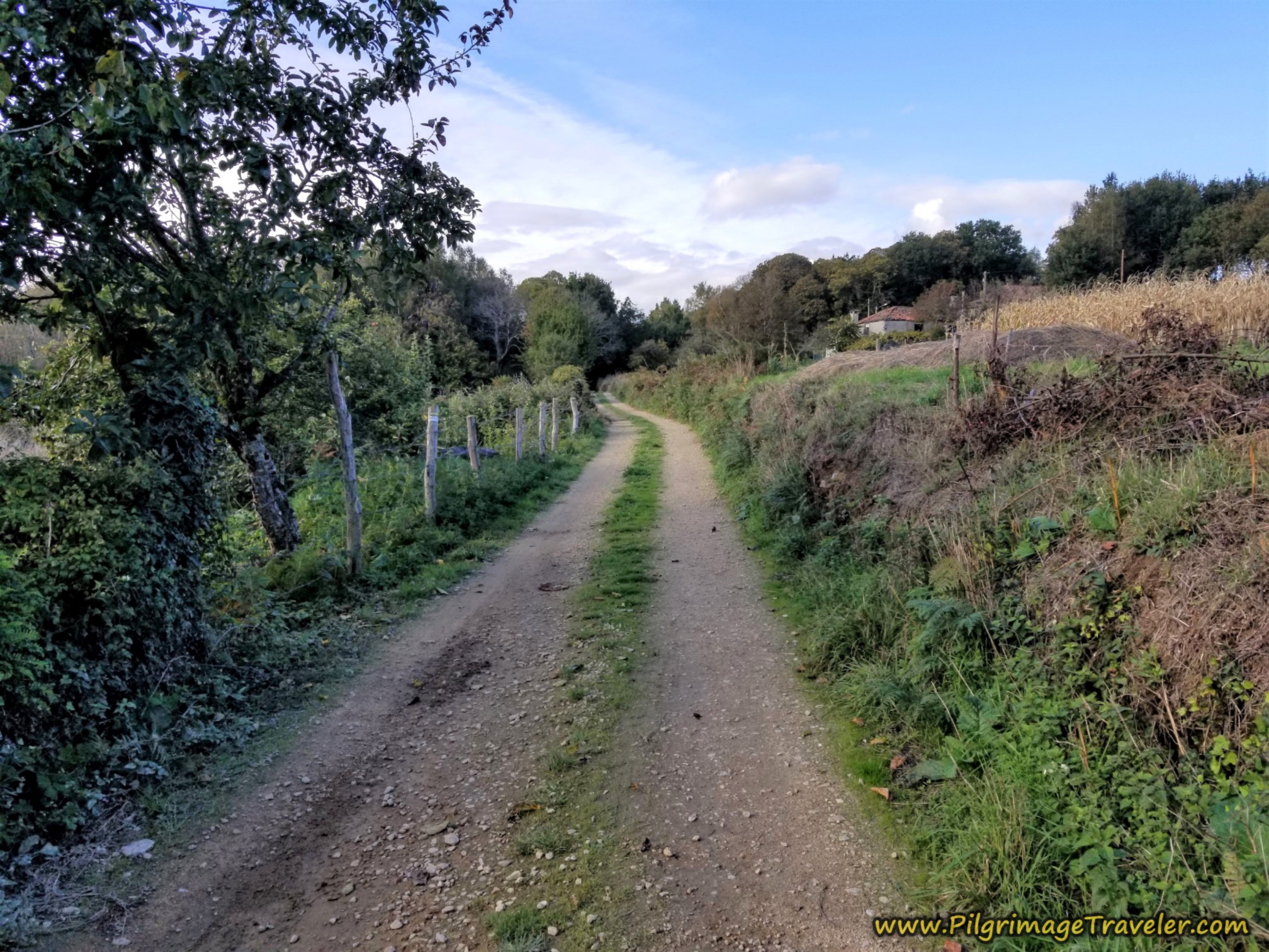 Walk on Lane From A Xesta