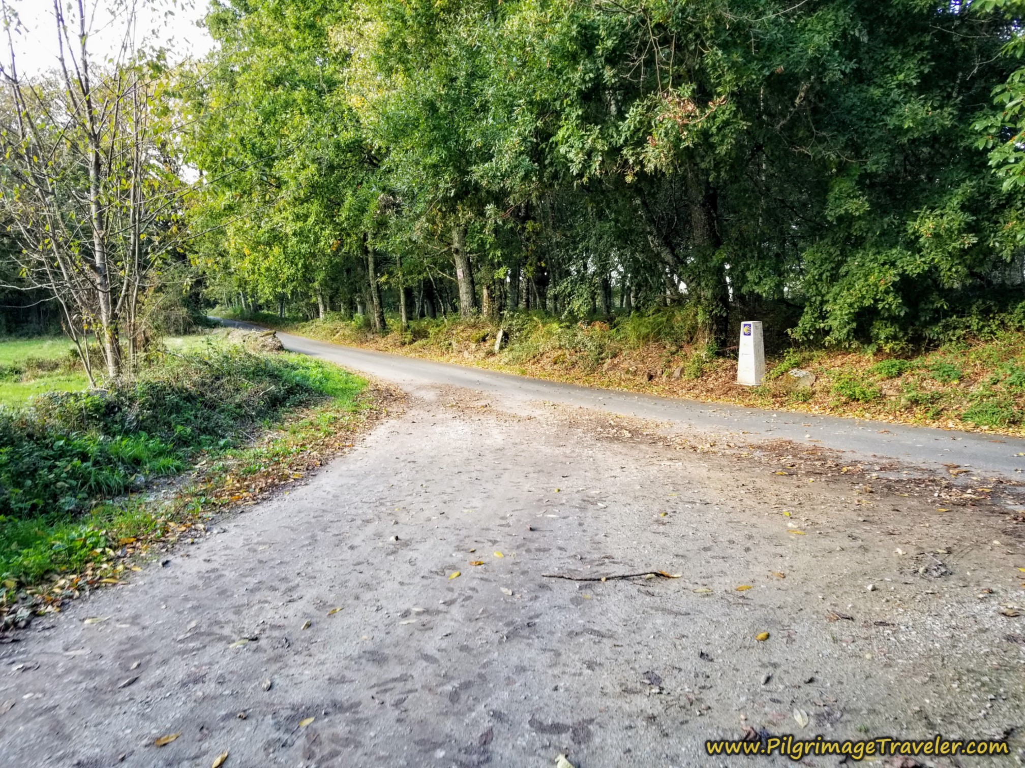 Come Out to this Side Road