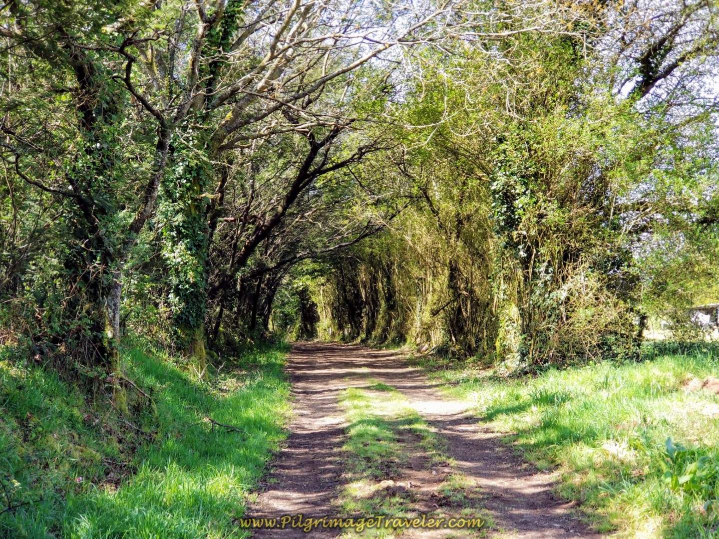 Continuing On Country Lane Towards Hospital de Bruma on day two of the La Coruña Arm of the English Way
