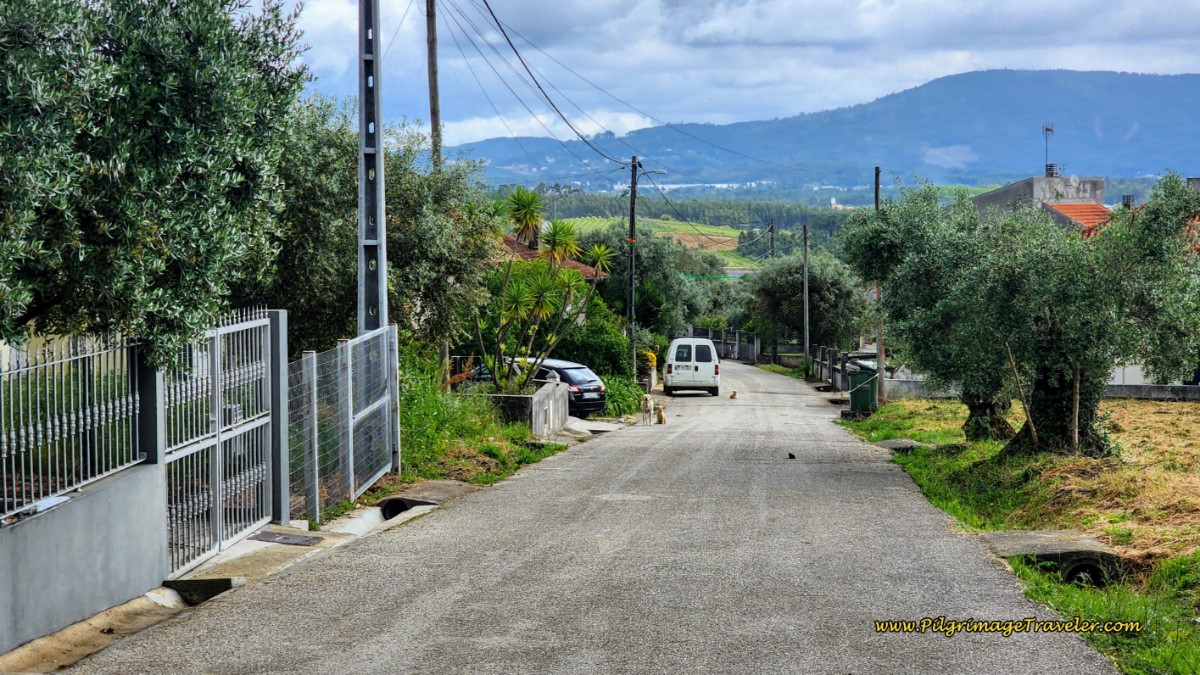 Along the Rua Areis, Day Ten on the Camino Portugués