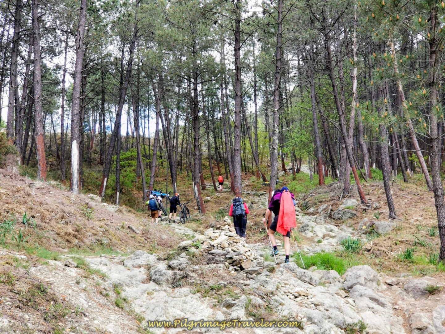 Hike-a-Bike Section of the Roman Road on day eighteen on the Central Route of the Portuguese Camino