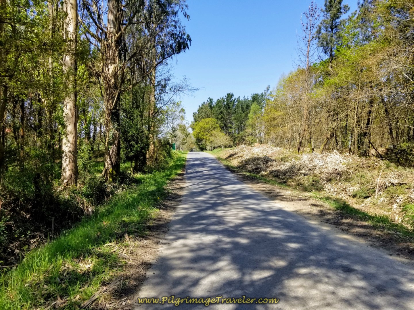 Right Turn on Secondary Paved Road on day seven of the English Way