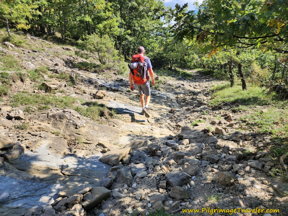 More Rocky Paths on the Way of St Francis Pieve Santo Stefano to Montagna