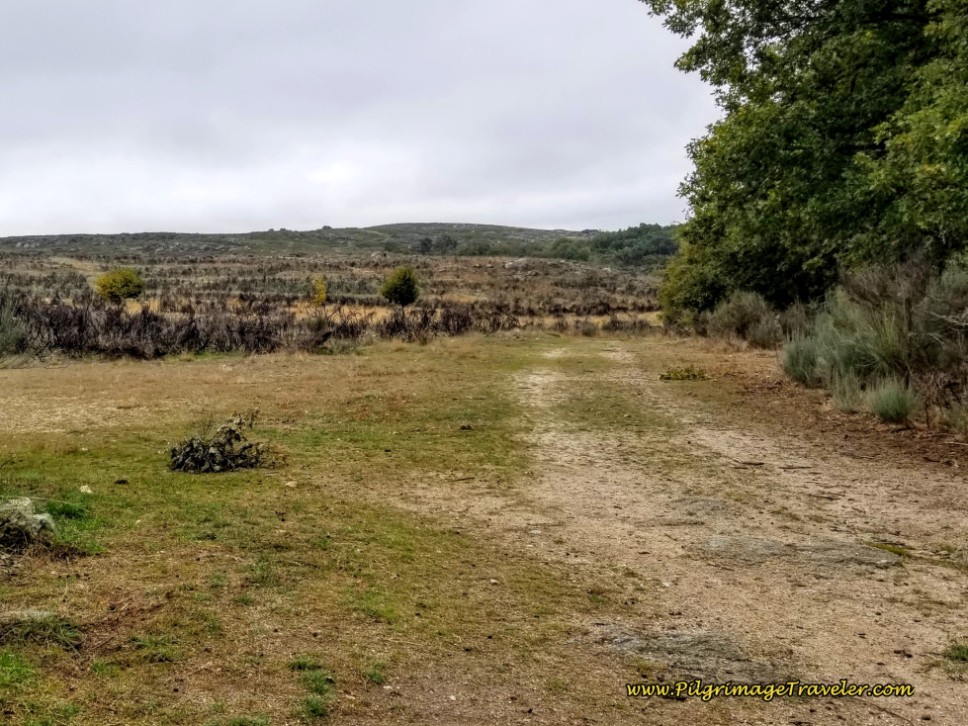 Open Walking After O Pereiro