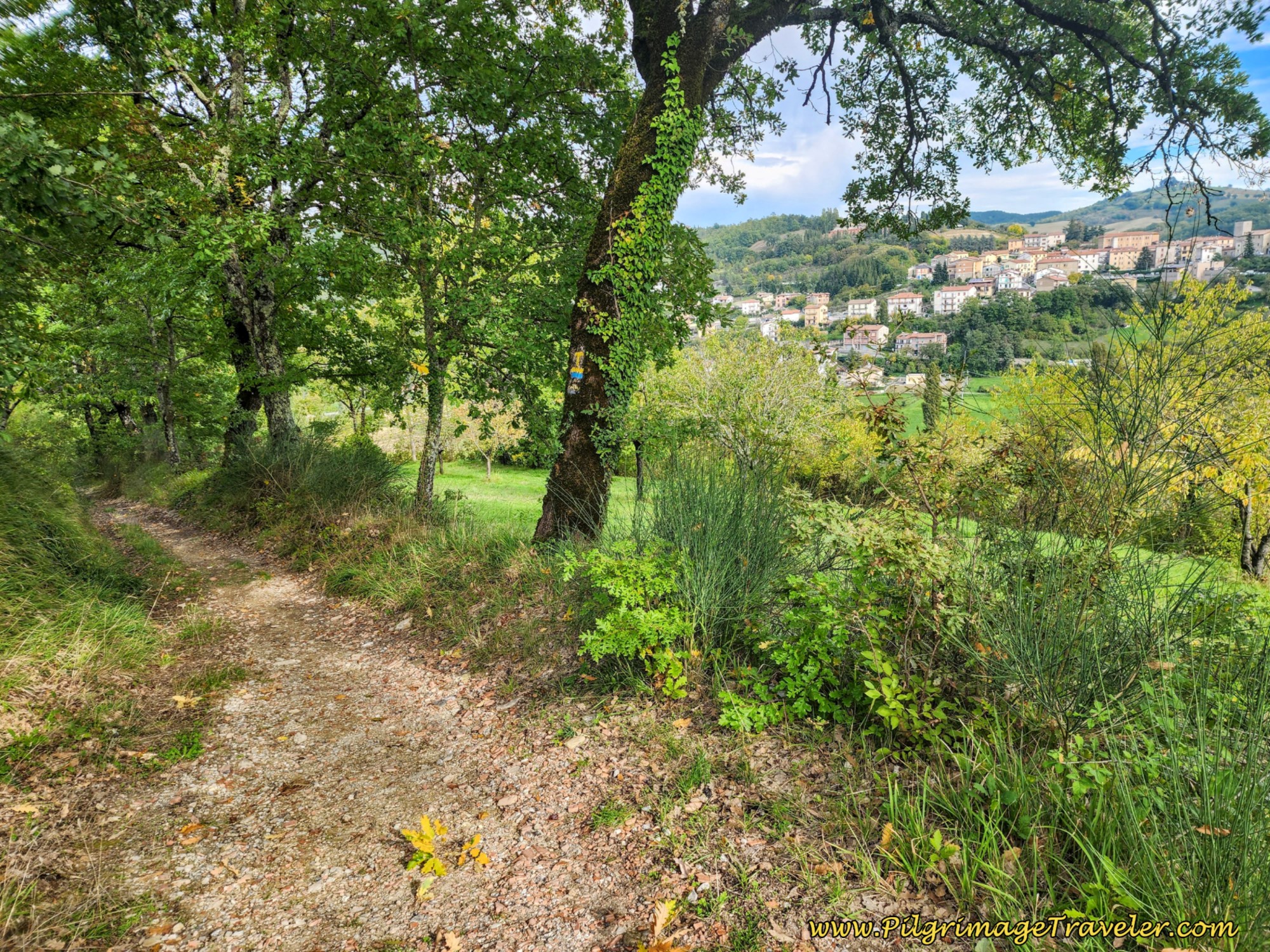 Path to Pietralunga on day six on the Way of St. Francis, from Cittá di Castello to Pietralunga