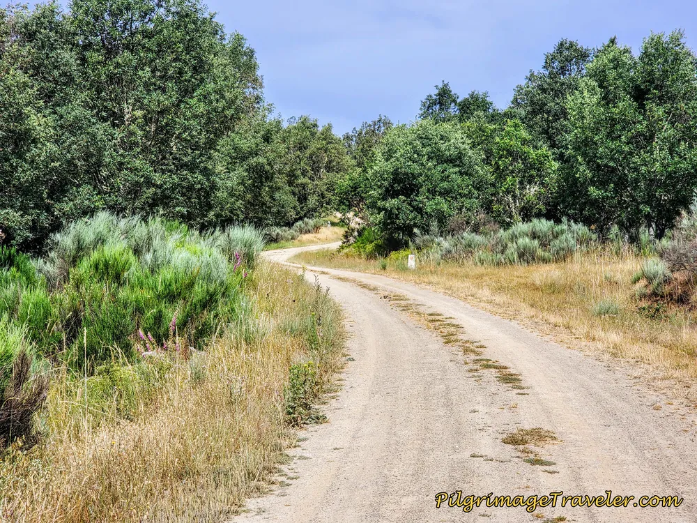 Steeper Grade Begins