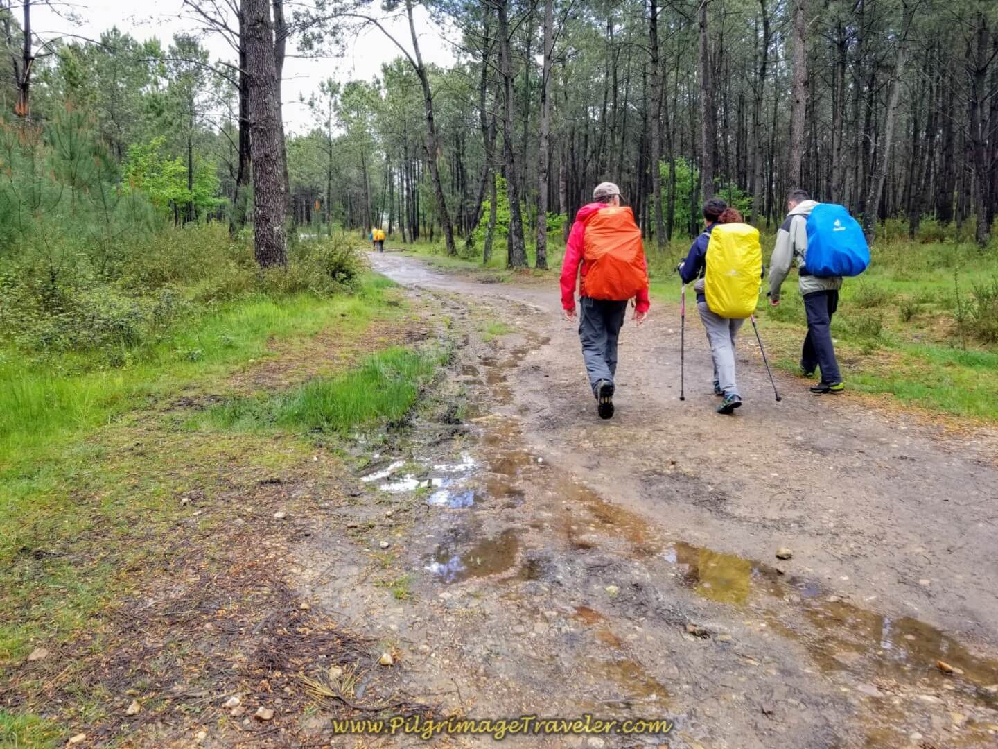 Rich, Miriam and Borut on day twenty on the central route of the Portuguese Camino