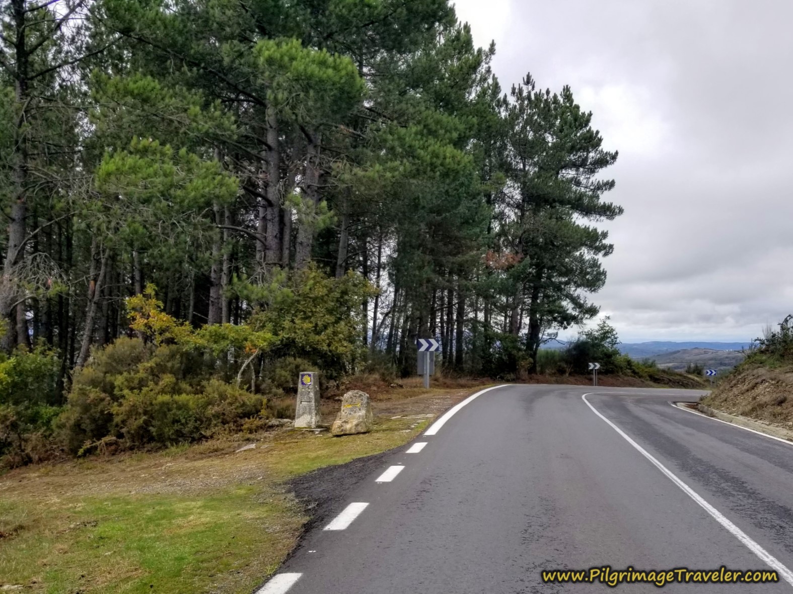 Turn Left at This Lane