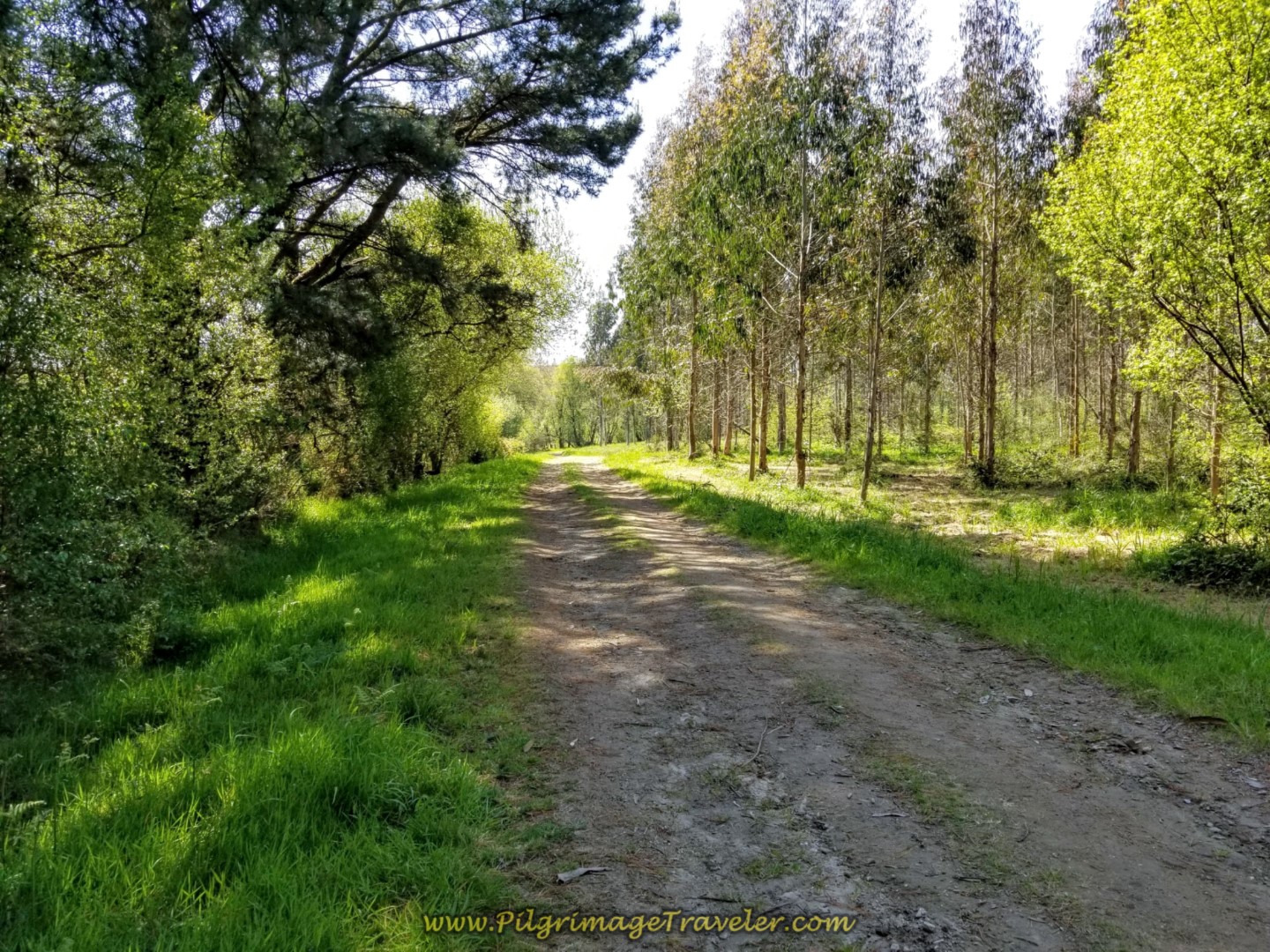 Country Lane Toward Hospital de Bruma on day six of the Camino Inglés