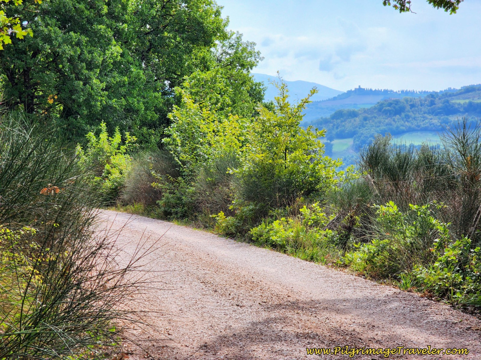 Views of Castello di Biscina
