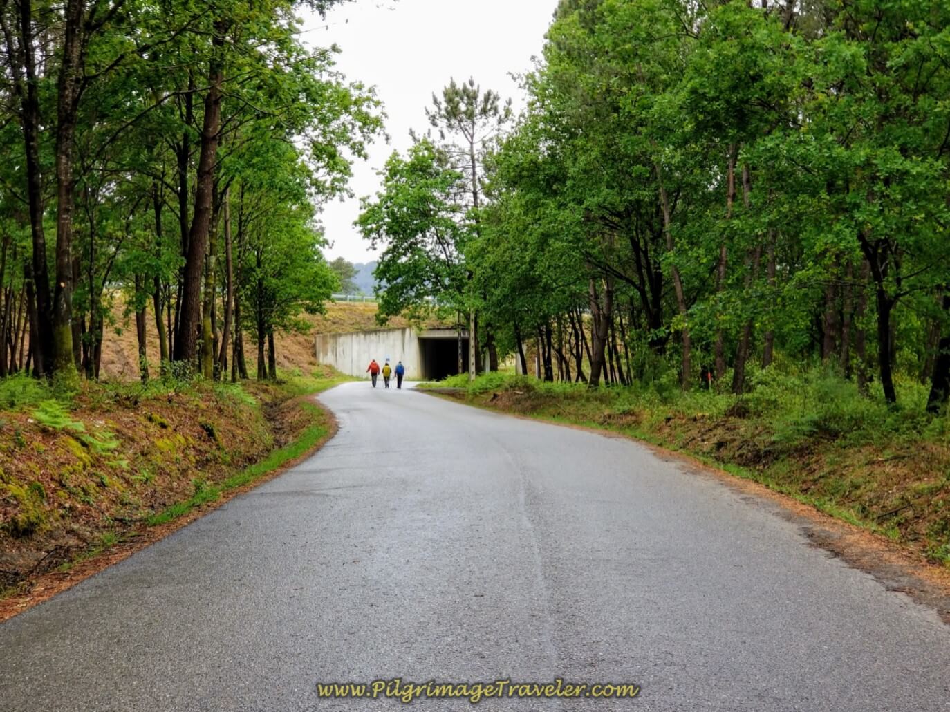 Walking Toward the E-1 on day twenty on the central route of the Portuguese Camino