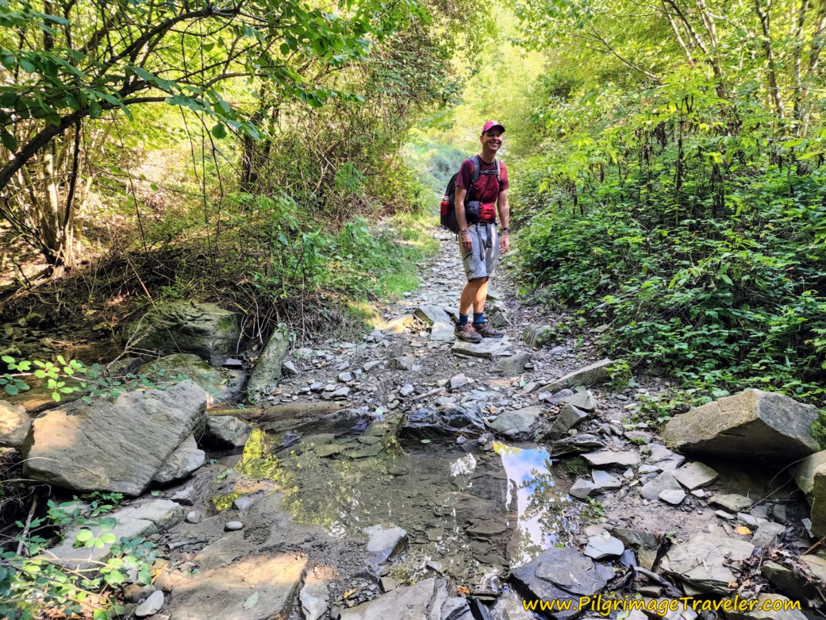 Nick Negotiates Puddle