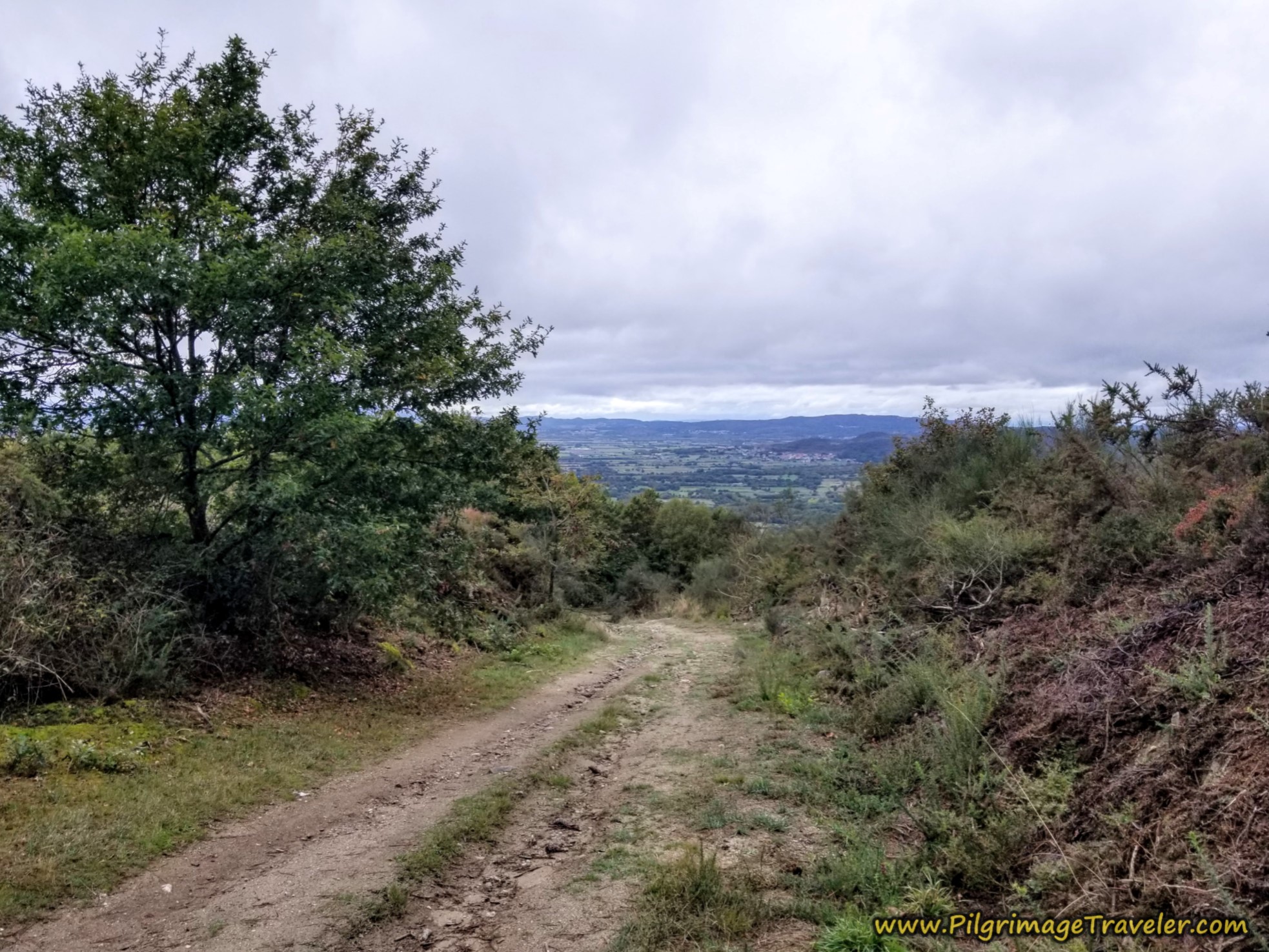 Strong Descent Continues