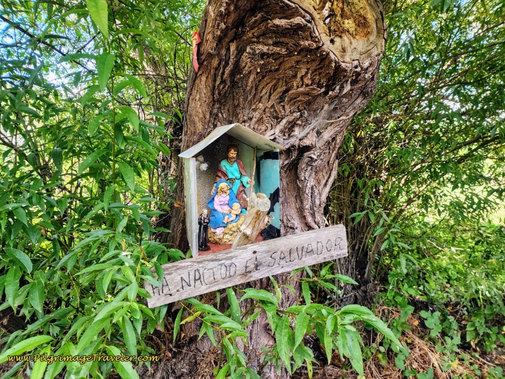 The Savior is Born Shrine