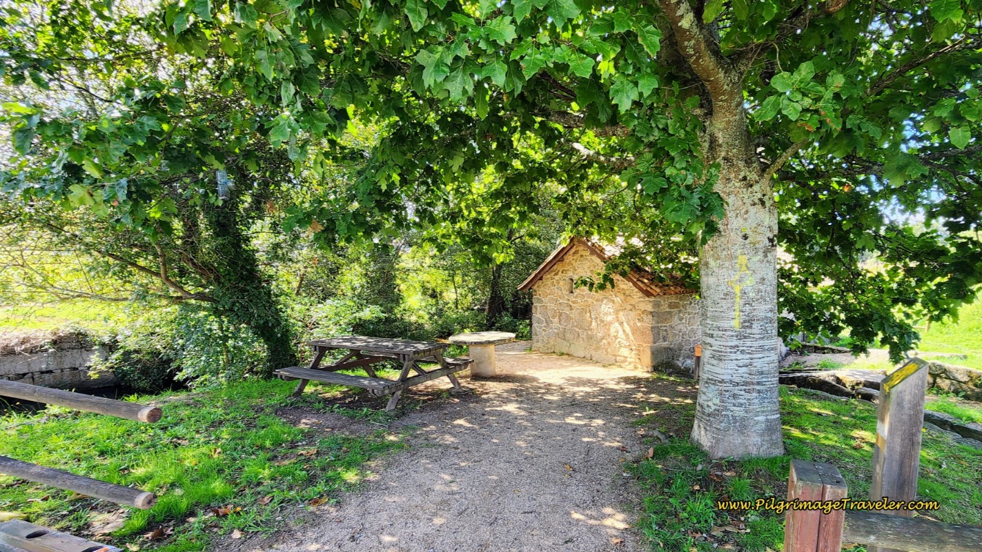 Turn at Picnic Area with Muiño