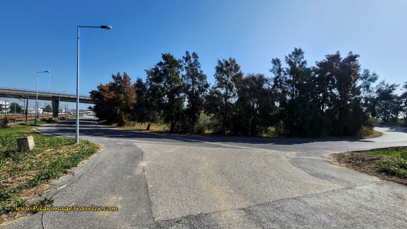 Turn for Accommodations in Verdelha