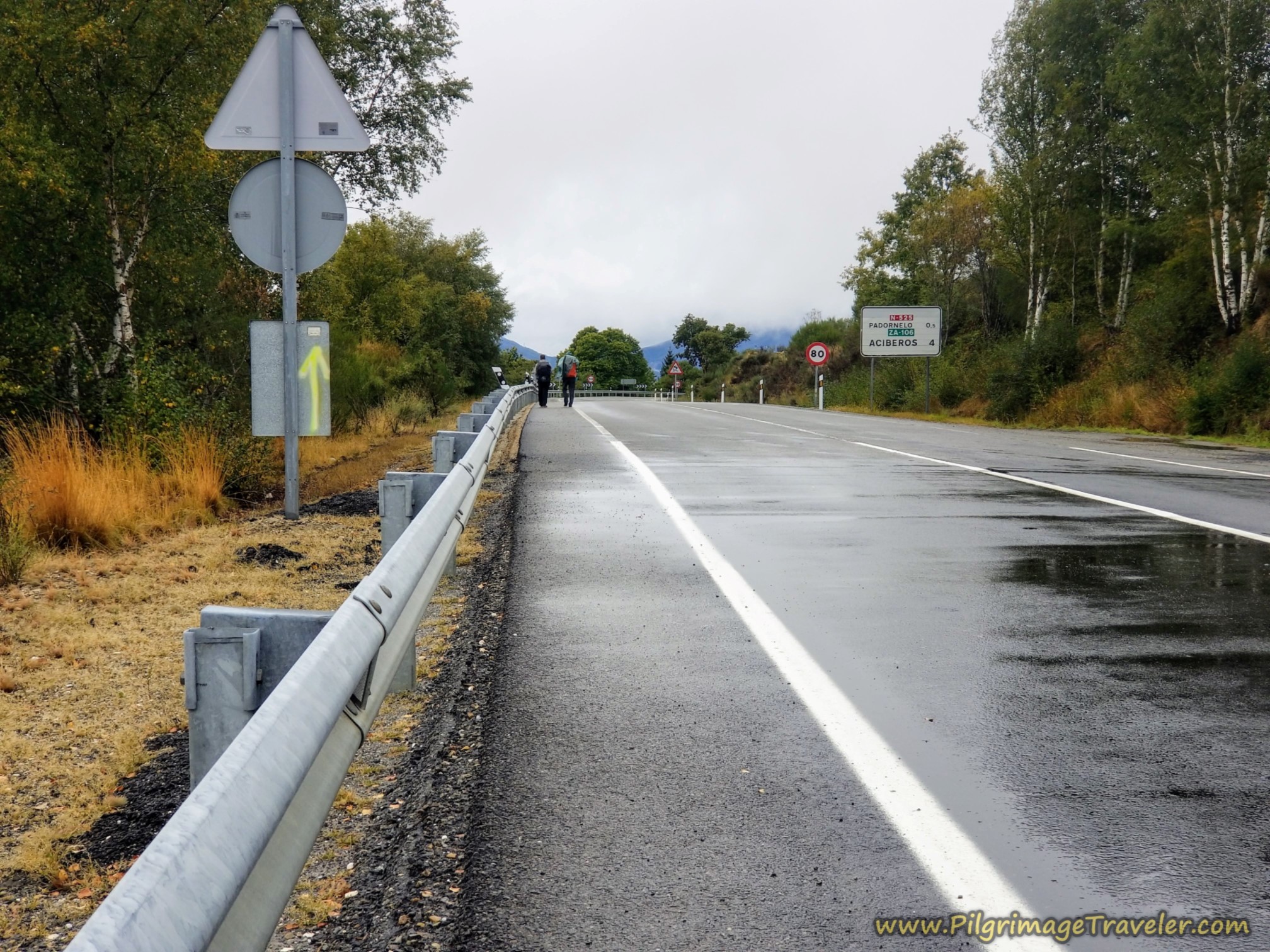 N-525 Towards Padornelo on the Camino Sanabrés from Puebla de Sanabria to Lubián