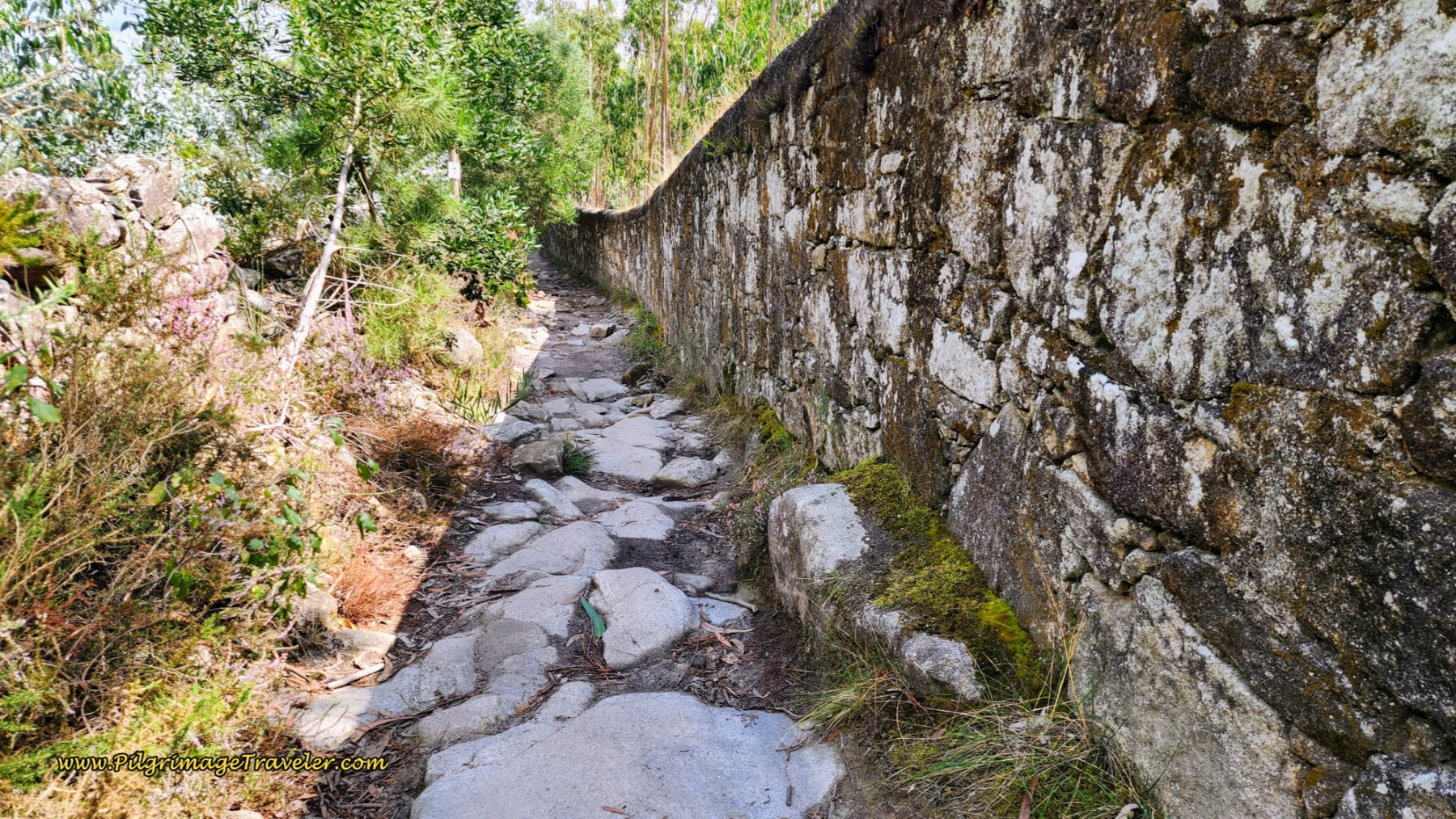 High Wall Along the Rua do Monte