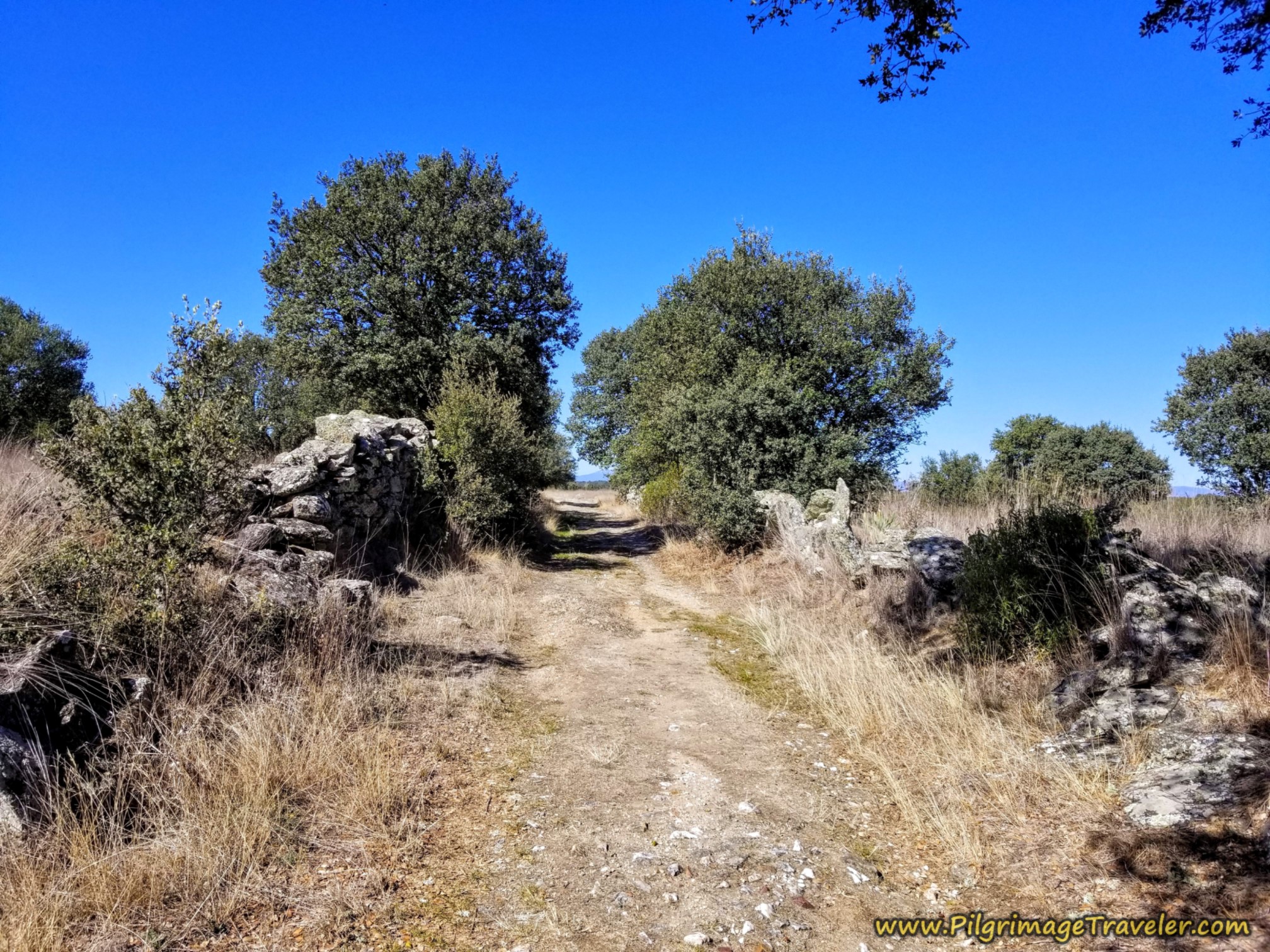 Back on the Camino Sanabrés