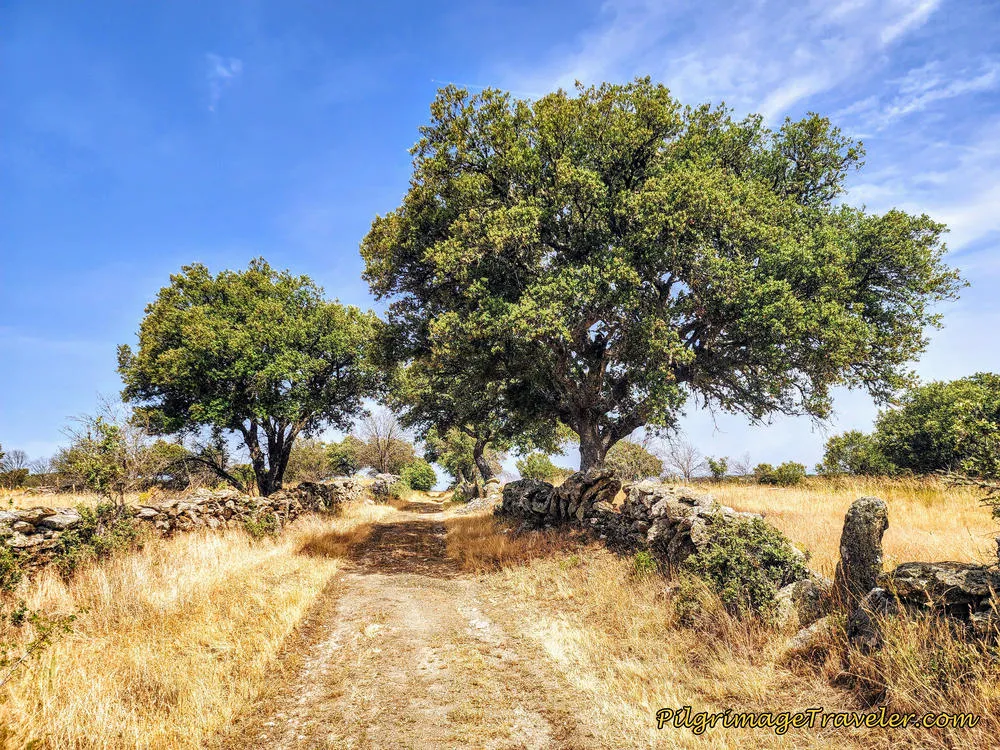 Back on the Camino Sanabrés