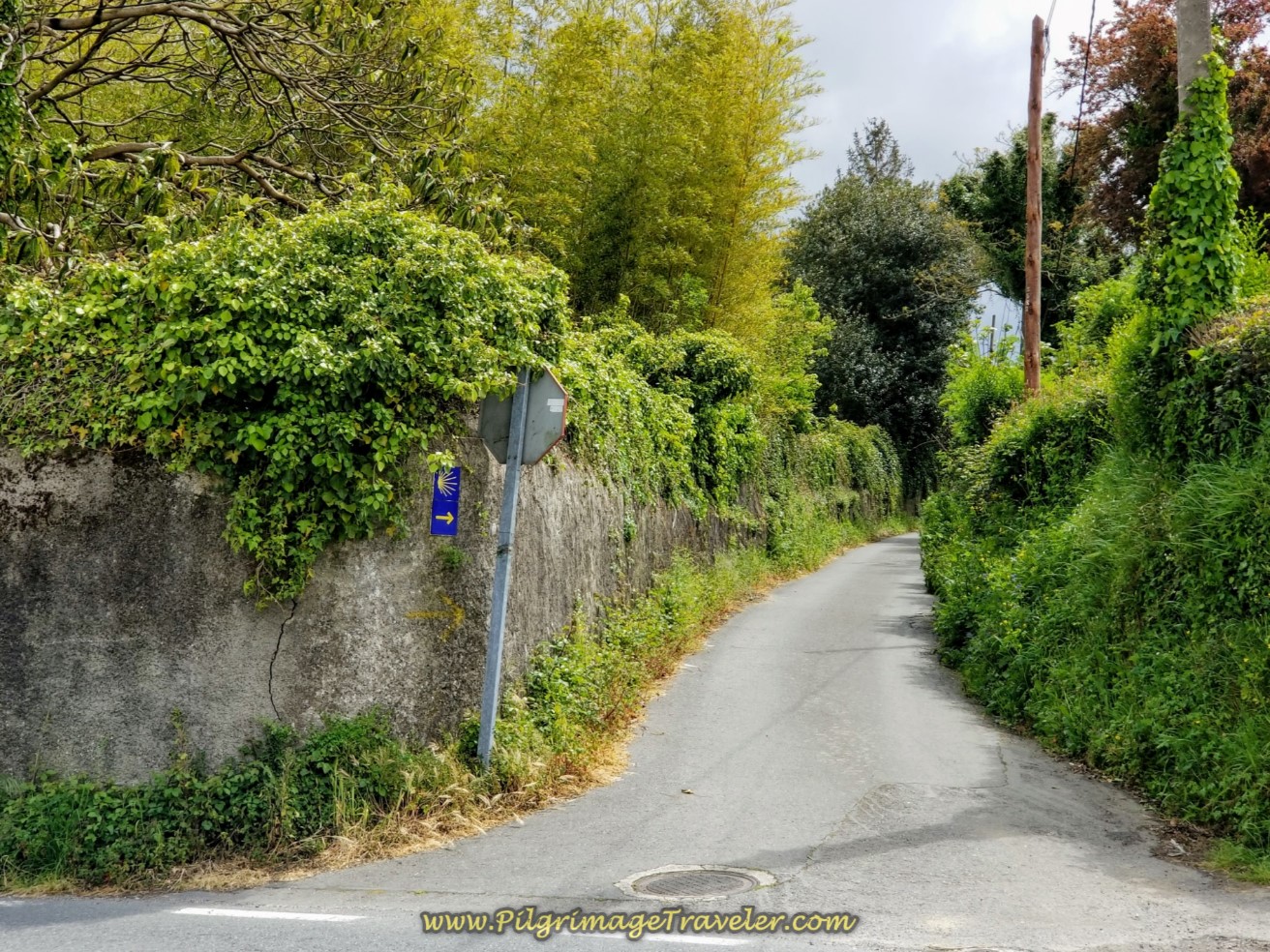 Uphill on the Quaint Sigrás Dabaixo on day one of the La Coruña Arm of the Camino Inglés