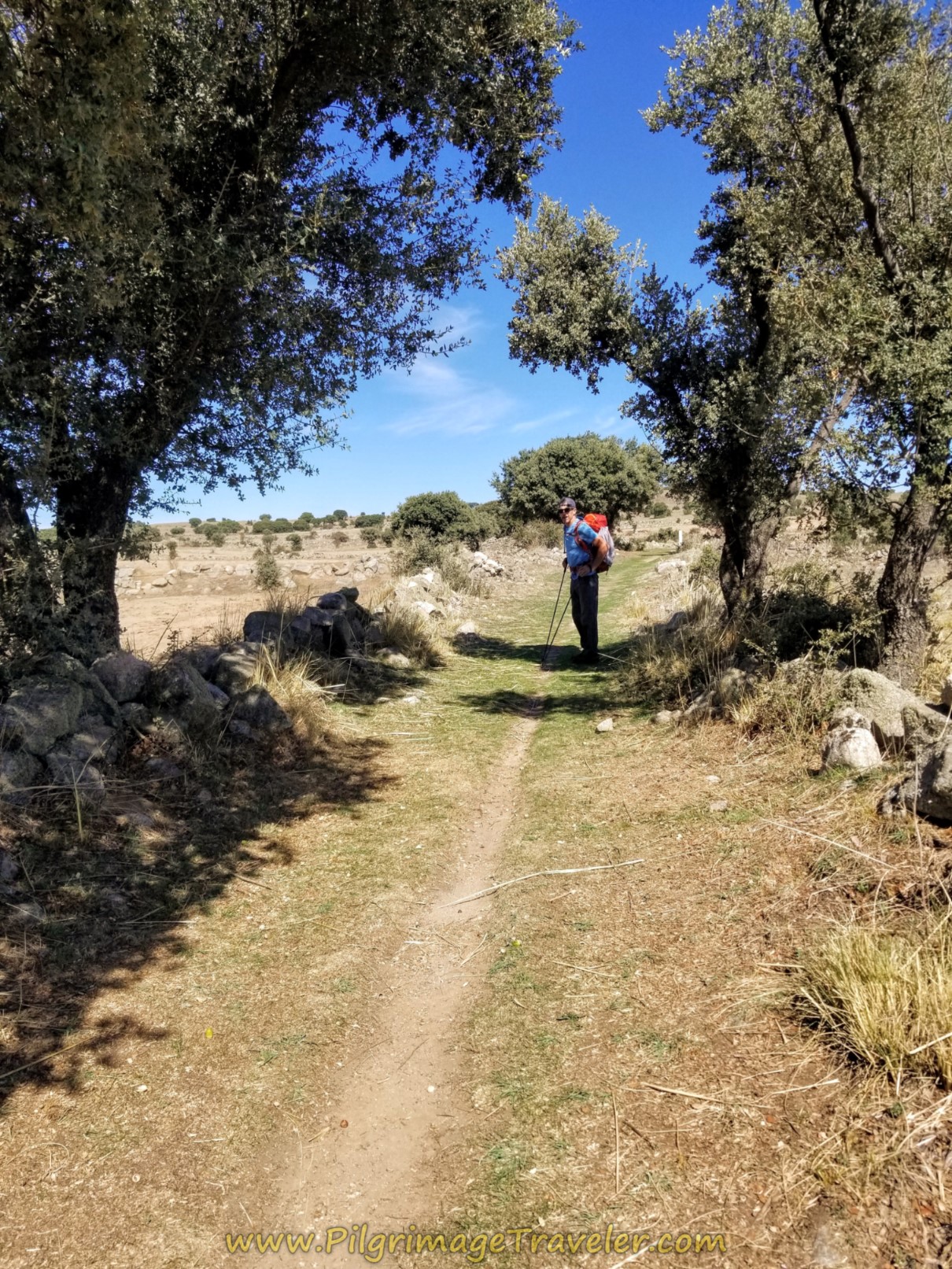 Continuing on the Wall-Lined Lane Continuing on the Wall-Lined Lane
