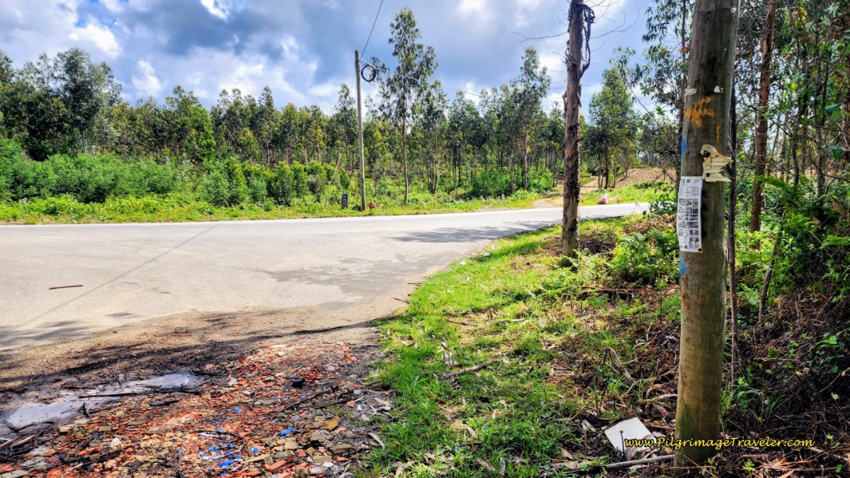 Turn Left at Albergue Sign