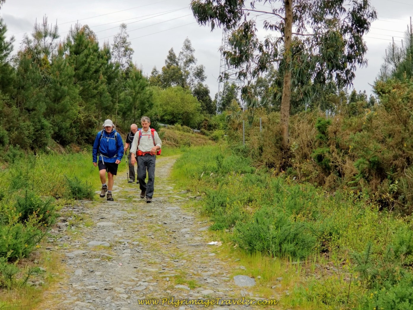Rob, Steve and Rich on Path That Continues for About 2.0 Kilometers on day one of the English Way
